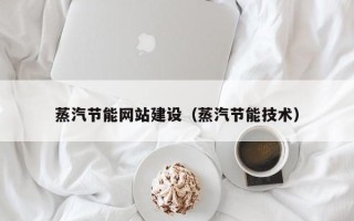 醴陵蒸汽节能网站建设（蒸汽节能技术）